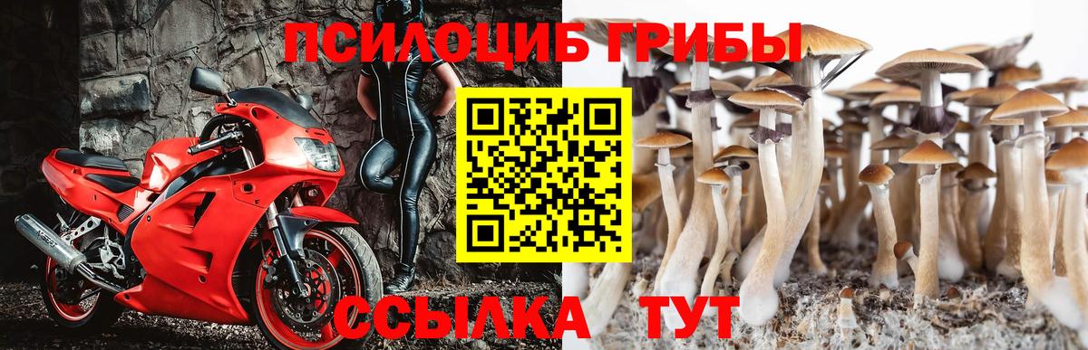 Галлюциногенные грибы GOLDEN TEACHER  Вход с VPN  Галлюциногенные грибы мицелий  продажа наркотиков  Северобайкальск 