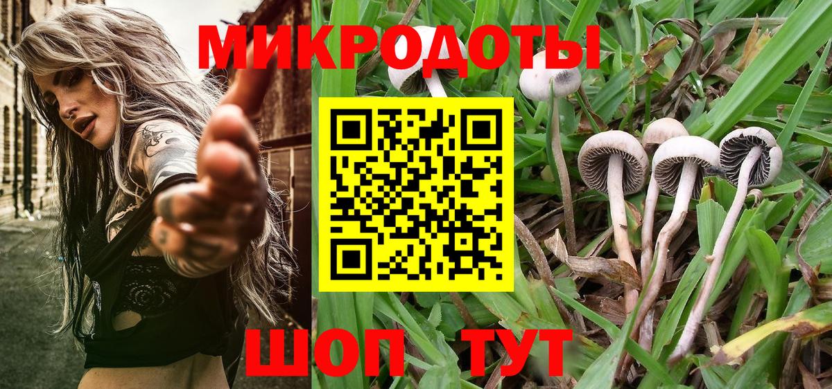 Галлюциногенные грибы Magic Shrooms Северобайкальск